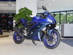 Yamaha YZF-R3 320 cc - ფოტო 12