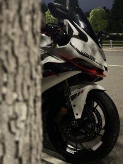 Voge RR660S - ფოტო 2