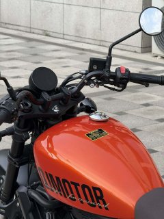 QJMOTOR Flash 250 - photo 9