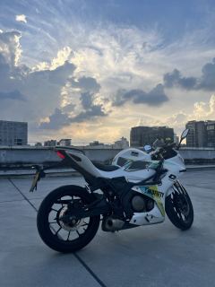 QJMOTOR SRK 250 - photo 3