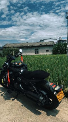 QJMOTOR Shan 600 560 cc - ფოტო 2