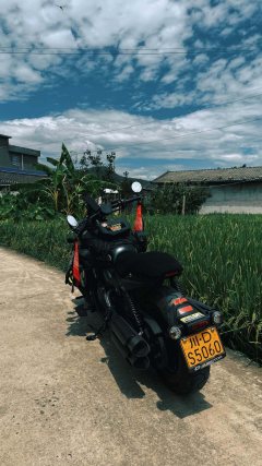 QJMOTOR Shan 600 560 cc - ფოტო 4