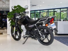 Jianshe Yamaha Edition YBR150Z - ფოტო 6