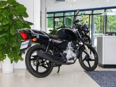Jianshe Yamaha Edition YBR150Z - ფოტო 8