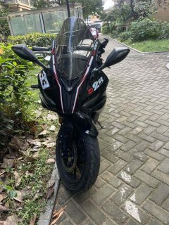 Shanyang SY250-H - ფოტო 1