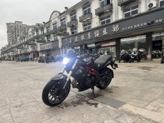 Benelli TNT 300 / BN 302S - фото 5