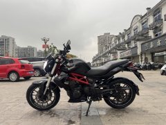 Benelli TNT 300 / BN 302S - фото 6