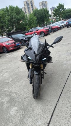 QJMOTOR 450 - фото 2