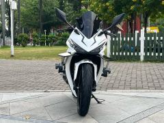 Kayo 250RR Thornbird - ფოტო 2