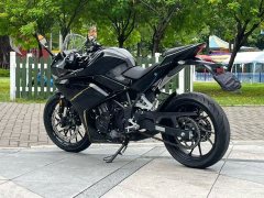 Kayo 250RR Thornbird - ფოტო 9