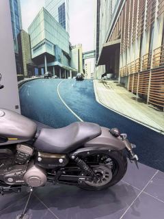 Benda Challenger 300 - photo 8