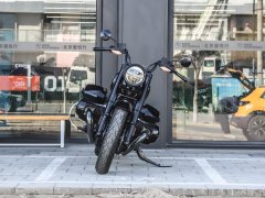 BMW R 18 1800 cc - ფოტო 2