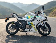 QJMOTOR SRK 250 - ფოტო 2