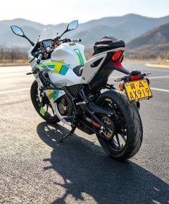 QJMOTOR SRK 250 - ფოტო 3