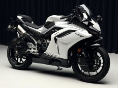 CFMOTO 500SR - ფოტო 2