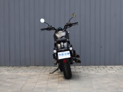 QJMOTOR 300 - photo 6