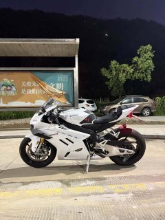 Zhangxue Motorcycles 820RR - ფოტო 4