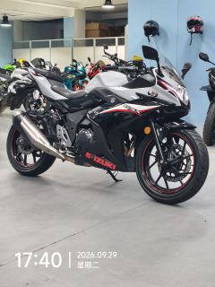 Haojue Suzuki GSX250R - photo 1