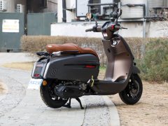 Weiduoliya Sixties 250Si - ფოტო 7