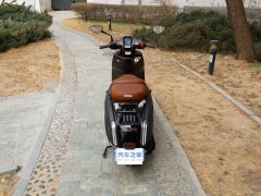 Weiduoliya Sixties 250Si - ფოტო 9