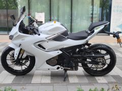 QJMOTOR SRK 250 - фото 1