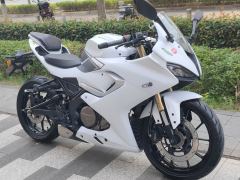 QJMOTOR SRK 250 - фото 6