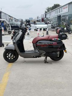Weiduoliya Sixties 150Si - ფოტო 3