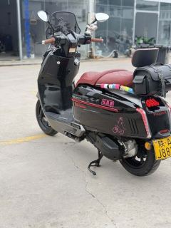 Weiduoliya Sixties 150Si - ფოტო 4