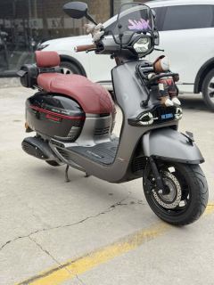 Weiduoliya Sixties 150Si - ფოტო 8
