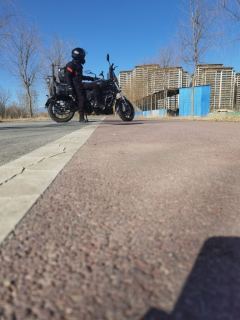 Benelli 502C 500 cc - фото 2