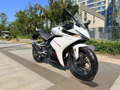 Kayo 250RR Thornbird - ფოტო 4