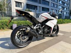 Kayo 250RR Thornbird - ფოტო 6