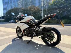 Kayo 250RR Thornbird - ფოტო 7