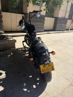 Harley-Davidson Iron883 - ფოტო 1