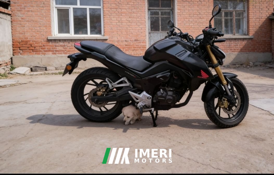2018 Sundiro Honda CBF190R