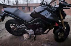 Sundiro Honda CBF190R - ფოტო 4