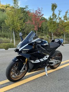 Zhangxue Motorcycles 820RR - ფოტო 3