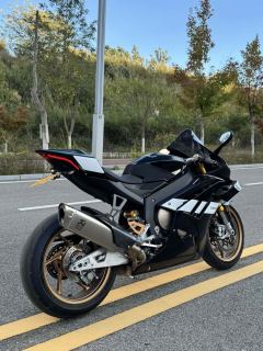 Zhangxue Motorcycles 820RR - ფოტო 6