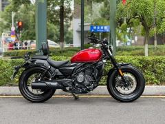 CFMOTO 250CL-C - ფოტო 2