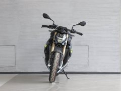 BMW S 1000 R - ფოტო 2