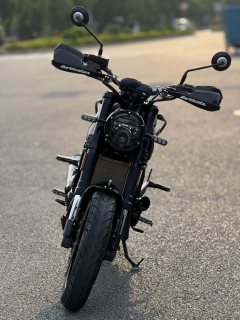 Benelli Lion Cub Leoncino 500 - фото 2