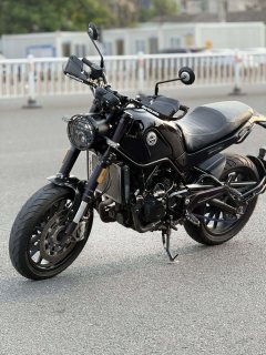 Benelli Lion Cub Leoncino 500 - фото 3