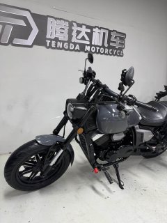 Longjia V Dominator 250 - ფოტო 2