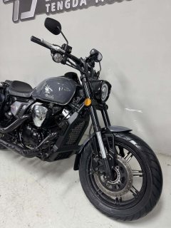 Longjia V Dominator 250 - ფოტო 9