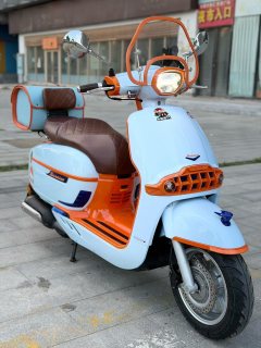 Weiduoliya Sixties 300i - photo 1