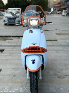 Weiduoliya Sixties 300i - photo 3