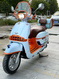 Weiduoliya Sixties 300i - photo 4