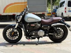 Benda Challenger 300 - photo 6