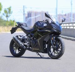 Kayo 250RR Thornbird - ფოტო 2