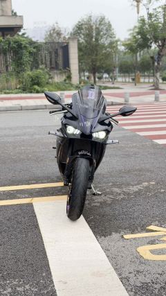 Kayo 450RR - фото 4